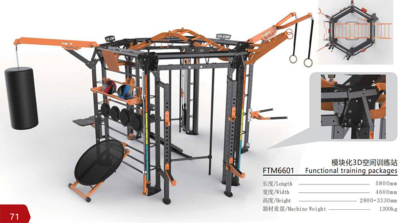 FTM6601.jpg